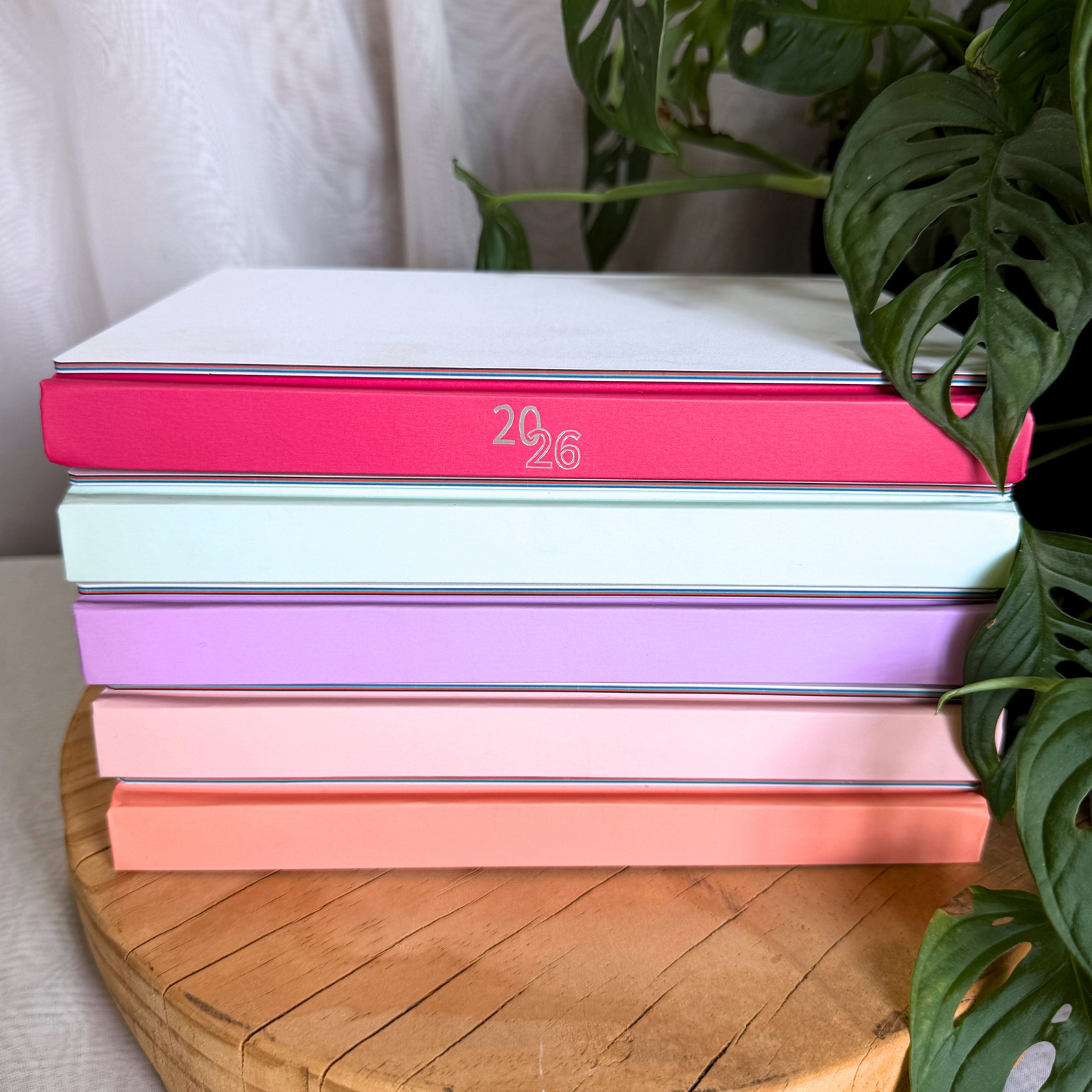 Colourful A5 Diaries 2026