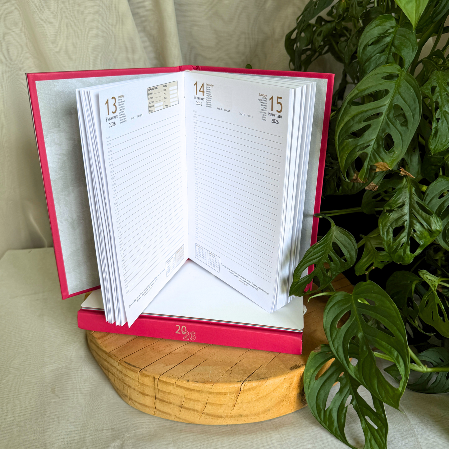 Colourful A5 Diaries 2026