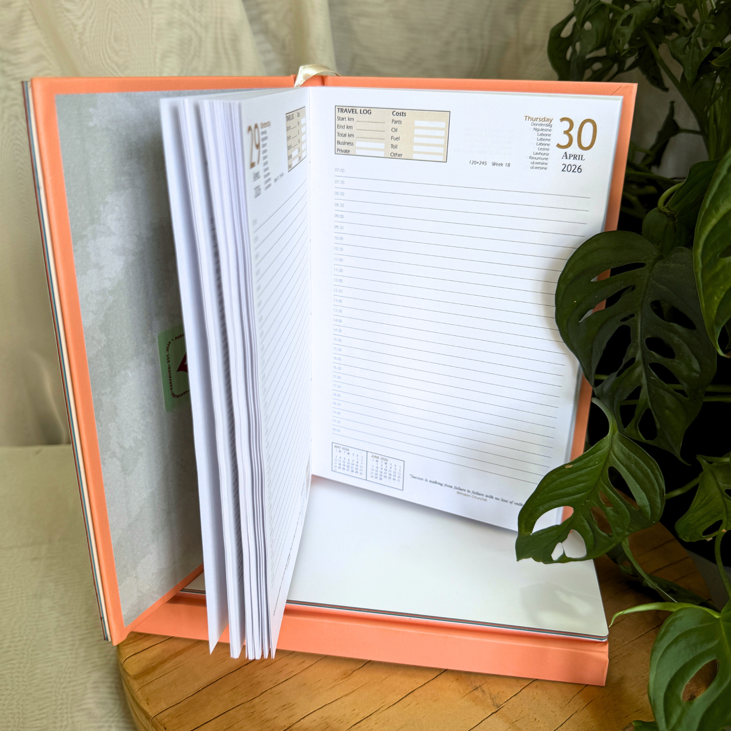 Colourful A5 Diaries 2026