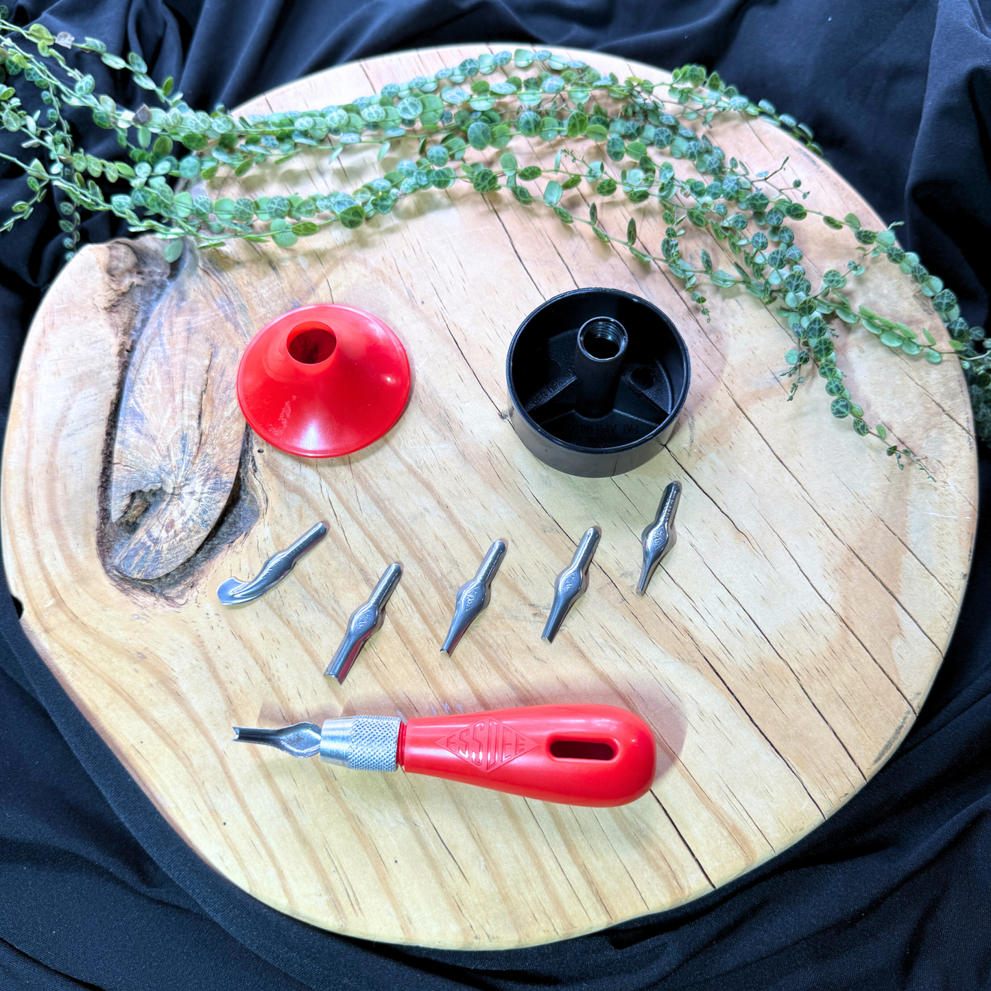 Essdee Six Blade Container and Tool Set