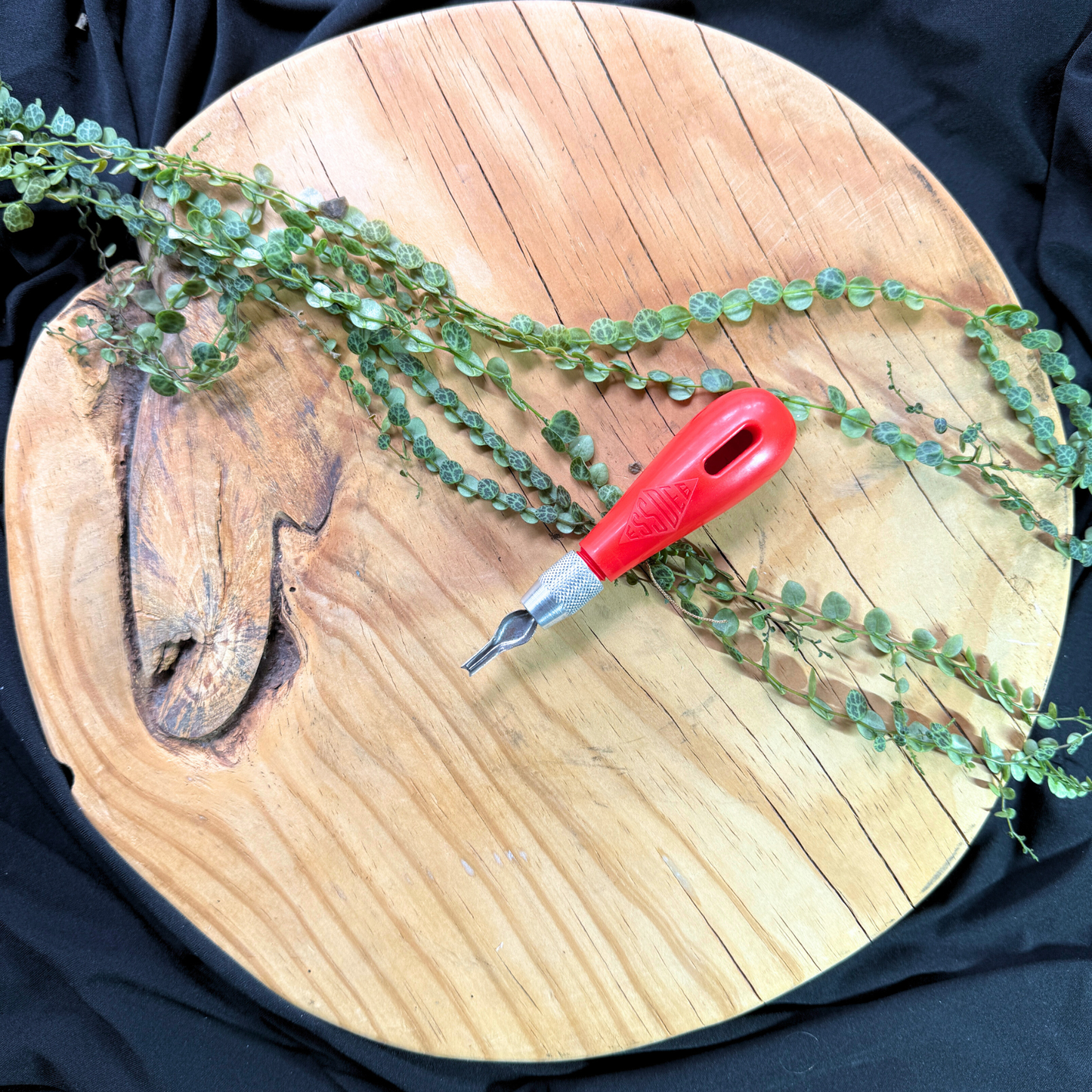 Essdee Single Blade Karving Tool