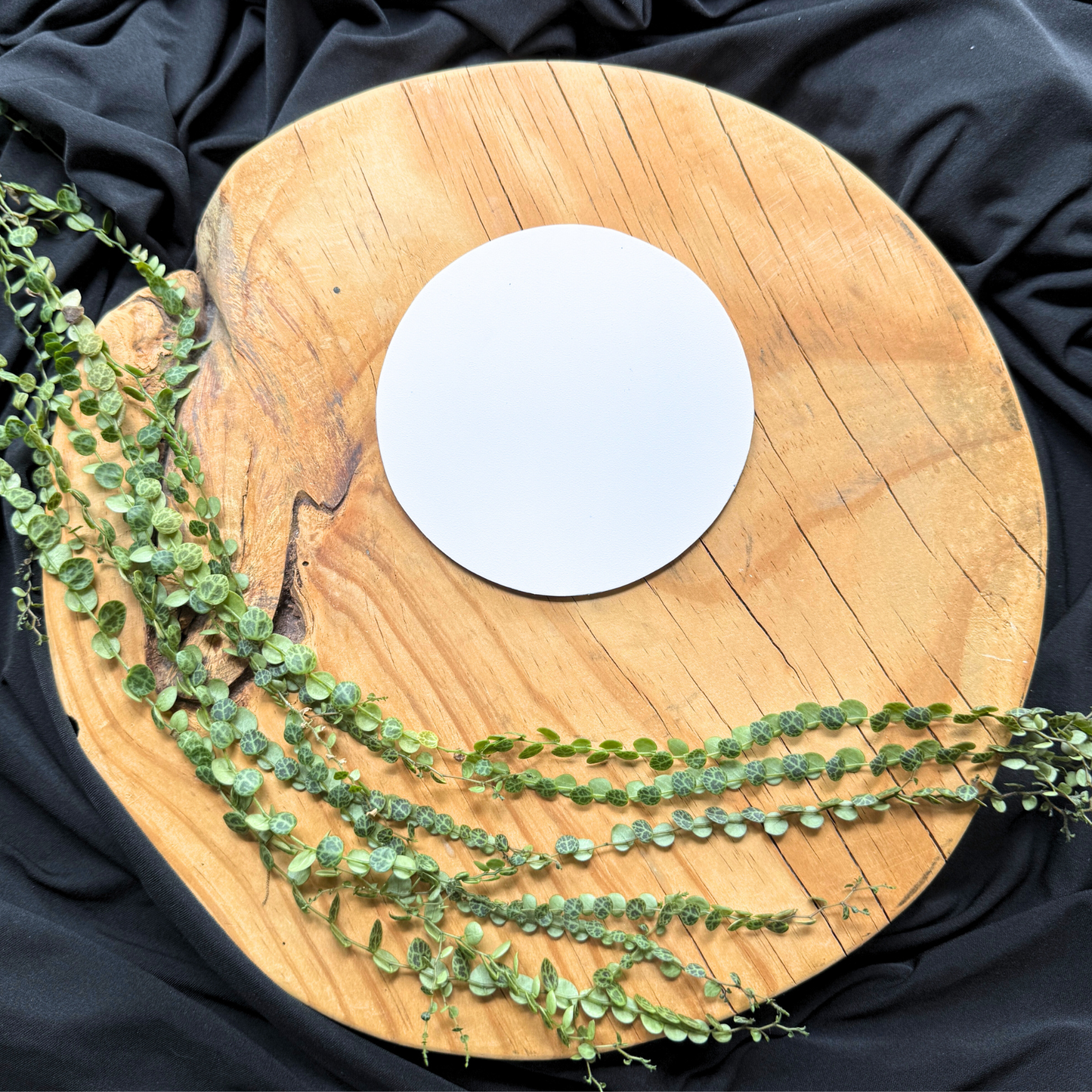 Single Coaster Circle